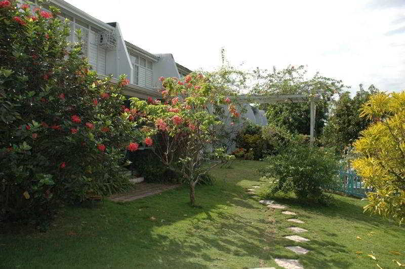 The Gardens Villa Kingston Dış mekan fotoğraf